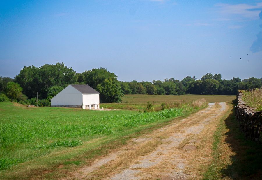 Farm lane running past a white barn into a planted field